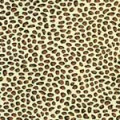 37.Leopard Silk