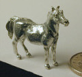  HP01 Mare
