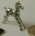 HP03 Foal